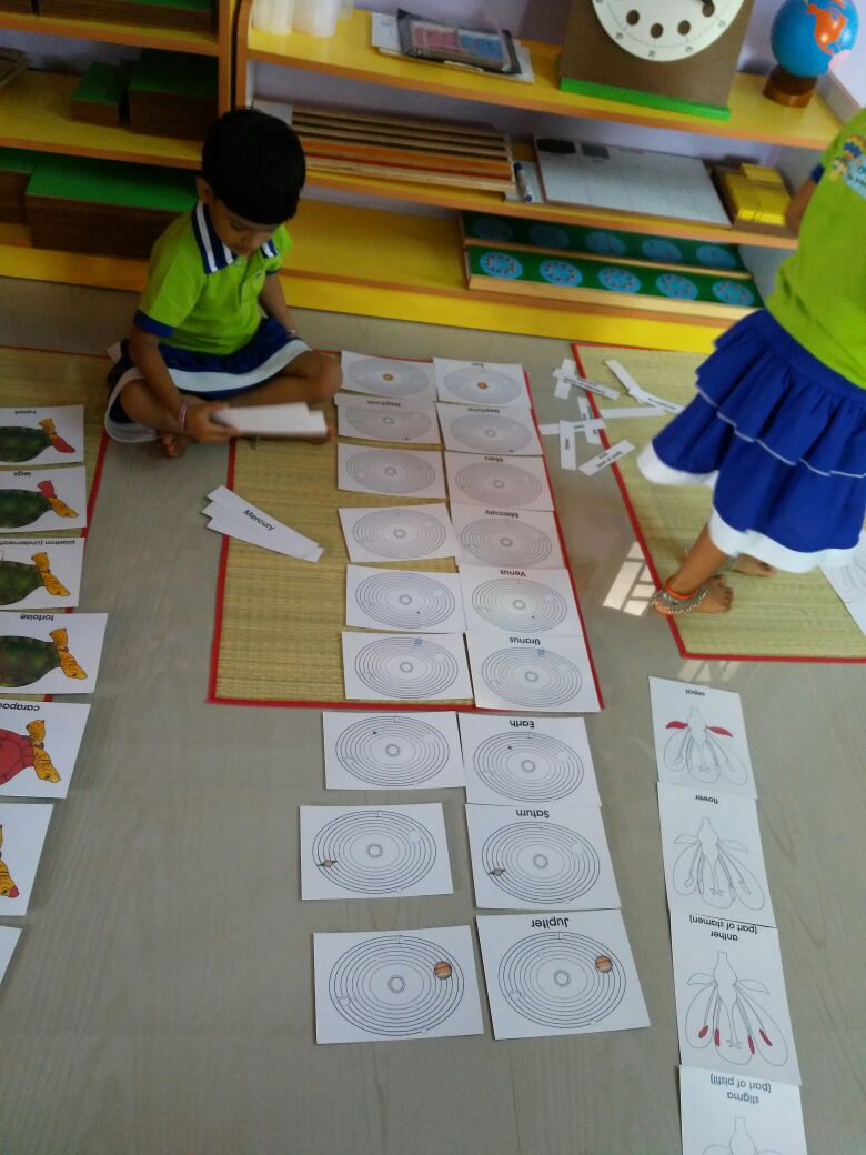 Physical Activity Keeps Kids Healthy