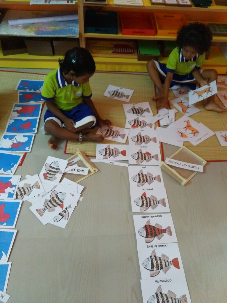 Physical Activity Keeps Kids Healthy