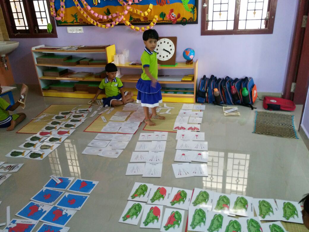 Brain Training Games for Children